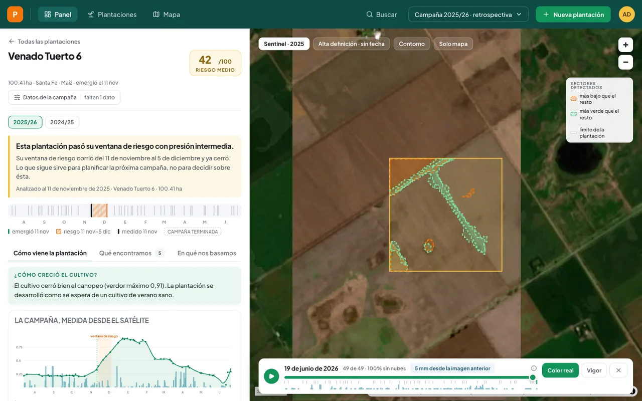 One field in detail: risk 42 of 100, anomalous sectors drawn over the satellite image, the season timeline and a scrubber through 49 cloud-free captures
